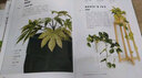 室内绿植完整手册（我的植物生活新提案系列） 中信出版社 实拍图