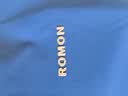 罗蒙（ROMON）冰丝t恤男士短袖polo衫夏季薄款商务正装高弹透气夏装 实拍图
