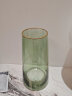 墨斗鱼玻璃花瓶富贵竹插花神器北欧轻奢描金花瓶水培植物透明花瓶花器 实拍图
