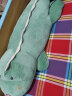 张晟凯玩具恐龙毛绒玩具长条睡觉夹腿抱枕男生款床上大号玩偶睡觉抱公仔娃娃 绿色 1米 实拍图