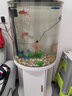 闽江（minjiang）半圆形鱼缸水族箱圆柱型金鱼缸客厅生态造景免换水锦鲤乌龟缸 纯白色+礼包+造景+升级过滤 BY560（鱼缸+储物柜子） 实拍图