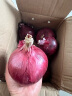 鸢语 山东紫皮洋葱4斤 新鲜蔬菜 农家自种 洋葱头 实拍图