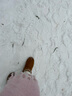 红蜻蜓雪地靴女秋冬加绒百搭棉鞋保暖短靴女靴WLC43470棕色38 实拍图