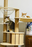 有朵猫Osti有朵猫大型全实木猫爬架木质猫窝猫树一体缅因布偶 泡糖（实木柱）163*60*50cm 实拍图