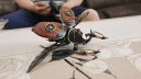 若客（ROKR）智控犀金龟仿生机械甲虫 初中生小学生儿童节礼物 金属拼装模型玩具积木潮玩机甲手办生日礼物男孩 晒单实拍图
