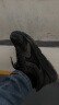 特步跑步鞋男鞋运动鞋男轻便减震休闲鞋跑鞋学生鞋 黑 43码 晒单实拍图