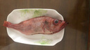 海皇湾红石斑鱼 冷冻整条深海大龙胆鱼富贵鱼海鲜水产 【超大规格】1.5-1.8斤*1条 实拍图
