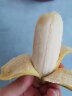 青惠悠广西自然熟苹果蕉香蕉小米奶焦粉糯米丑芭蕉现摘海南新鲜水果整箱 9斤净重 晒单实拍图