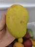 尔蝶海南小台农芒果10斤新鲜小台芒当季热带水果现摘甜心小芒果整箱 精选中果 单果70-90g-爆甜多汁 精选3斤装 净重2.8斤 实拍图