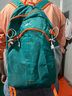 回力户外轻便运动背包大容量旅行双肩包登山包折叠皮肤包男女书包 绿色 实拍图