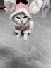 华元宠具（hoopet）猫咪衣服幼猫可爱四脚装冬季冬天保暖布偶猫无毛猫衣服宠物防掉毛 粉色兔耳朵四脚装-带绒款 M-(建议5-8斤) 实拍图