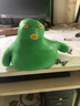 东之天地绿头鱼焦驴犟驴捏捏乐呆头鱼八嘎解压神器沙雕鱼头解压王总大猩猩  大号绿头鱼22*20CM【约2KG重】 实拍图