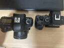 佳能（Canon）EOS R6 Mark II 新标准全画幅微单数码相机R6二代 单机身 （约40张每秒连拍/6K超采样4K短片） 晒单实拍图