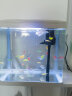 技研精工（JIYJNJINGGONG）鱼缸客厅小型家用带增氧桌面超白玻璃过滤免换水生态懒人鱼缸320 晒单实拍图