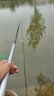 达亿瓦（DAIWA） 新版 梦月 振出休闲竿综合竿鲤竿 台钓竿 手竿 进口碳素钓鱼竿 4.5m CLASS 4 实拍图