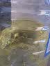 九三物理压榨 葵花籽油 4L 实拍图