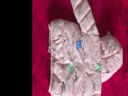 婧麒（JOYNCLEON）儿童棉服男女童装宝宝秋冬季婴儿衣服棉服加厚外出棉袄加绒外套 白色恐龙 120cm 实拍图
