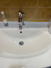 法恩莎（FAENZA）浴室面盆水龙头双控冷热出水多功能抽拉洗脸盆卫生间洗手盆台上盆 热荐款-净源健康龙头 实拍图