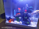 异景园鱼缸仿真假山造景装饰石头布景套餐水族箱大小树脂摆件躲避洞松石 假山192A 实拍图