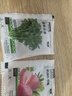 寿禾 农家小叶香菜种子老品种四季芫荽蔬莱籽种籽阳台盆栽秋冬季菜籽 [小包试种]港翠香菜种子1000粒 实拍图