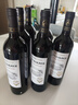 马丁巴克塞纳赤霞珠干红葡萄酒14度 红酒整箱  送礼 高档红酒礼盒 6支酒+高脚杯*2+酒具三件套 实拍图