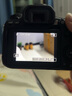 佳能（Canon） EOS 90D套机  单反相机 佳能90d 单机 EOS新款vlog数码相机 佳能90D单机身+佳能50/1.8套装【专业人像】 套餐四【免费升级套餐五~立省500~强烈建议】 实拍图