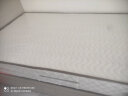 海马飞雪床垫席梦思天然椰棕乳胶独立弹簧床垫酒店厚薄双人家用榻榻米垫子 22cm双面款(乳胶+独立弹簧+椰棕) 1.2x2米 实拍图