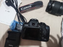 佳能（Canon） EOS 2000D 18-55套机 单反数码相机 高清照相机 单机+18-55mm IS II镜头 保税仓发货 实拍图