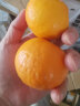 湖南麻阳脐橙 甜蜜多汁 果园现发 新鲜优质橙子 冰糖脐橙5斤55mm起 晒单实拍图