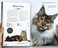 小猫+猫 （套装全两册）百科全书猫图鉴养猫指南养猫手册宠物书籍喂养猫的品种大全 实拍图