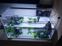 森森（SUNSUN）鱼缸水族箱超白玻璃水草缸造景桌面缸 超白500标配缸+假山造景 实拍图