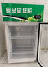 启盟商厨冷藏保鲜幼儿园食品留样柜带锁餐厅食堂家用小冰箱商用展示留样柜 53*53*85cm直冷双锁+温度显示 实拍图