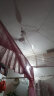 ZOLEE中联大风力家用吊扇静音卧室客厅塑料遥控蚊帐床上微风扇小电风扇/ 直径1050MM+3米延长线+吊钩+膨胀螺丝 实拍图