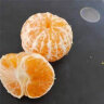 左格广西沃柑10斤新鲜水果当季整箱沙糖蜜橘砂糖柑橘武鸣桔子现摘 3斤 70以上 实拍图