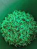 纳丽雅紫砂豆芽神器家用豆芽发芽盆发豆芽罐培育器生豆芽专用工具大容量 直径20cm把手款-麦饭石+接水盘 实拍图