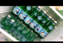 圣培露（S.Pellegrino）意大利含气天然矿泉水气泡水 饮用水 250ml*24瓶 实拍图