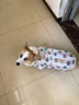 智宙狗狗衣服夏天金毛大型犬户外夏季防晒衣萨摩耶防掉毛薄款防虫背心 白色小熊背心 弹力大 6XL(胸围98CM 约110斤宠物) 实拍图