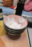 有谷窑 日本进口米饭碗菜盘家用汤碗大面碗深盘碗高脚日式饭碗汤碗面碗 木莲花15cm面碗 红5.9英寸 晒单实拍图