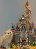 迪士尼迪士尼城堡兼容乐高积木樱花束公主拼装玩具高难度女生生日礼物 76cm樱花迪士尼城堡+满配12礼品 晒单实拍图