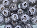 怡颗莓Driscoll's当季云南蓝莓Jumbo超大果18mm+6盒125g/盒 生鲜水果 实拍图