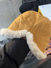 原谅色帽子女冬加绒加厚保暖毛绒渔夫帽女防风护耳盆帽北方卷边蒙古帽子 驼色 实拍图