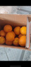 小筑倾橙正宗江西赣南脐橙新鲜现摘手剥橙子纽荷尔甜橙榨汁水果年货礼盒 特选大果10斤带箱【品质升级】 实拍图