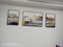 Sixpoetry 客厅装饰画现代简约沙发背景墙壁画轻奢三联晶瓷画大气高档挂画 福禄景秀（铝合金外框） 晶瓷画左右50*70+中间100*70亮面 实拍图