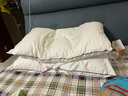 SIDANDA枕芯枕头鹅绒枕95%白鹅绒枕侧睡枕颈椎枕羽绒枕半侧躺枕2026新款 单只 95鹅绒侧睡枕-加高枕（高硬） 实拍图