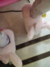 Hello Kitty女童棉鞋冬儿童室内家居鞋小孩保暖亲子棉拖鞋 美乐蒂粉 28-29码 实拍图