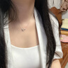 JALLOO海豚银项链女士小众轻奢高级感锁骨吊坠生日520情人节礼物送女友 小海豚银项链 实拍图