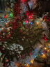 哈骆顿（HALODN） 圣诞树装饰挂件圣诞节装饰品1.2米1.8米圣诞树灯串雪花彩带彩球 圣诞树装饰品（共102个配件） 【含5米彩灯，不含树】 晒单实拍图