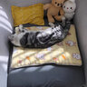 派乐特狗窝猫垫子窝冬季保暖狗狗睡觉用品睡垫地垫四季通用毛毯子S 实拍图