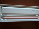 WIWUipad电容笔苹果apple pencil 2024ipad10/Air5触控笔书写绘画平板手写笔平替笔 【磁吸充电】Pencil X Pro【樱花粉】 实拍图