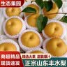 译优农山东莱阳丰水梨新鲜当季水果冰糖雪梨黄金蜜梨现摘整箱 净重4.5-5斤中果【实惠装】 实拍图